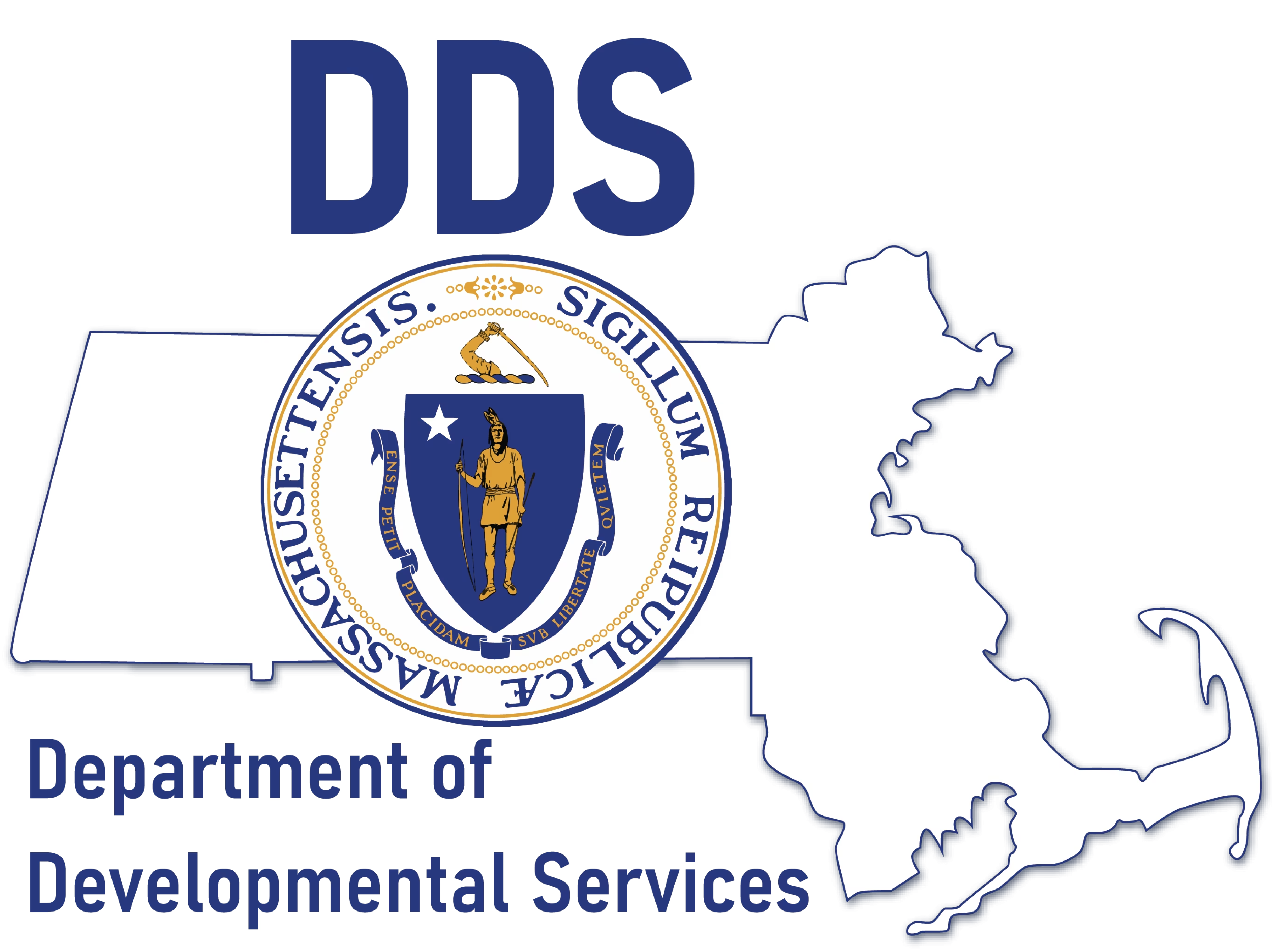 Mass DDS Logo